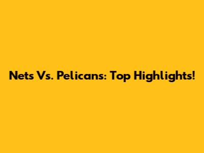Nets Vs. Pelicans: Top Highlights!
