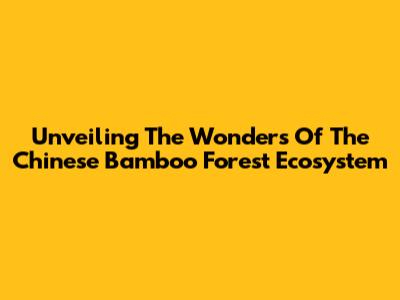 Unveiling The Wonders Of The Chinese Bamboo Forest Ecosystem